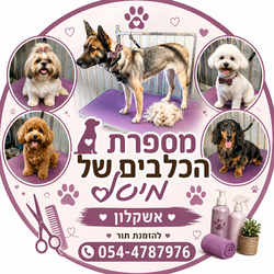 הלוגו הקיים של מיטל ספרות כלבים
